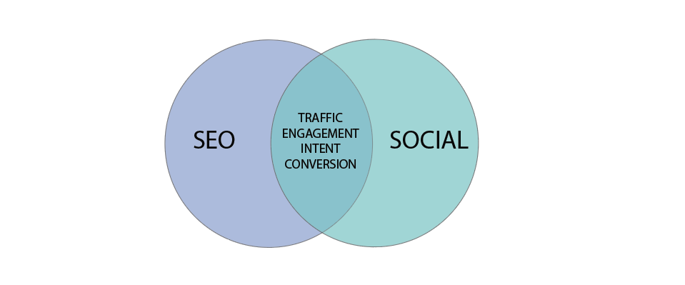 SEO & Social Media